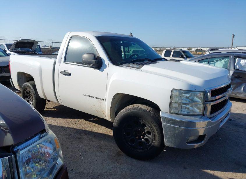 2009 Chevrolet Silverado 1500 WORK TRUCK (VIN 1GCEC14X99Z113108) main photo