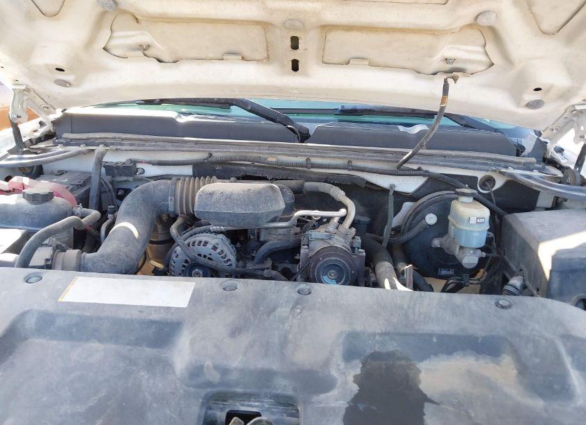 Photo 10 of 2009 Chevrolet Silverado 1500 WORK TRUCK (VIN 1GCEC14X99Z113108)