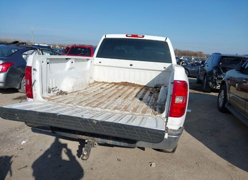 Photo 8 of 2009 Chevrolet Silverado 1500 WORK TRUCK (VIN 1GCEC14X99Z113108)