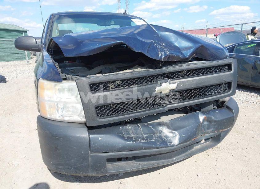Photo 6 of 2008 Chevrolet Silverado 1500 WORK TRUCK (VIN 1GCEC14XX8Z137559)
