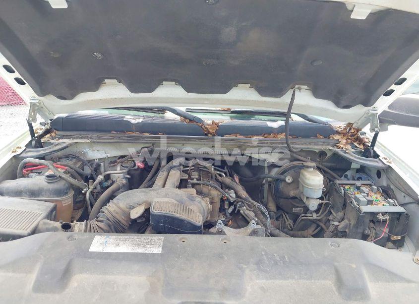 Photo 10 of 2009 Chevrolet Silverado 1500 WORK TRUCK (VIN 1GCEC19009E143732)