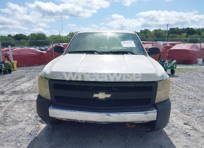 Photo 11 of 2009 Chevrolet Silverado 1500 WORK TRUCK (VIN 1GCEC19009E143732)