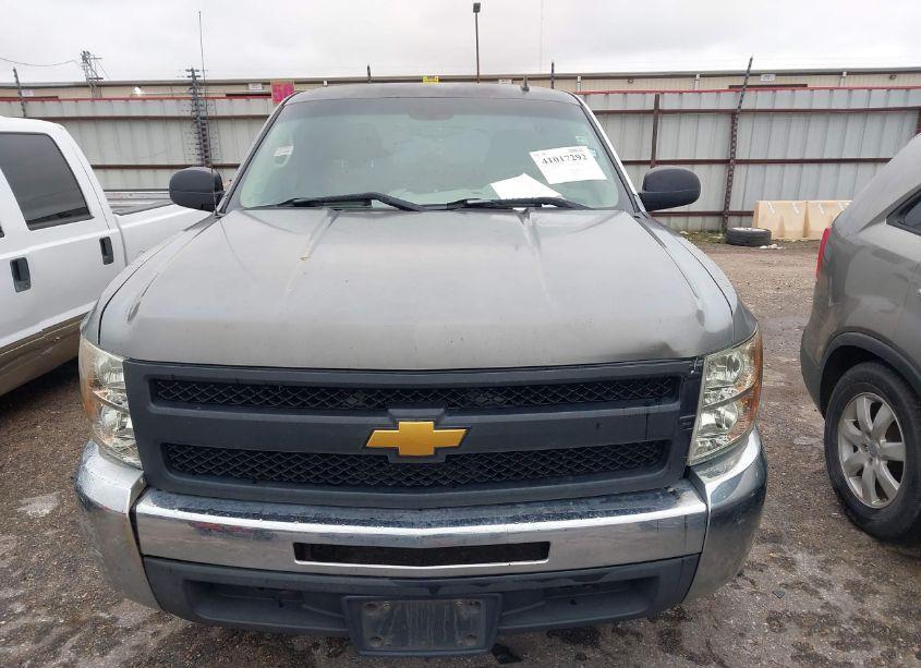 Photo 12 of 2009 Chevrolet Silverado 1500 WORK TRUCK (VIN 1GCEC19099Z110348)