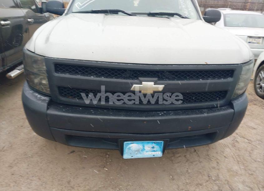 Photo 13 of 2007 Chevrolet Silverado 1500 WORK TRUCK (VIN 1GCEC19C17Z503025)