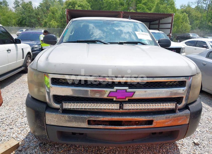 Photo 6 of 2009 Chevrolet Silverado 1500 WORK TRUCK (VIN 1GCEC19C49Z126175)