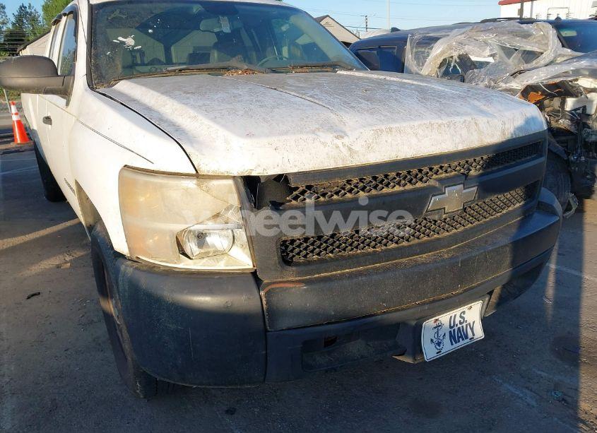 Photo 6 of 2007 Chevrolet Silverado 1500 WORK TRUCK (VIN 1GCEC19J07E552769)