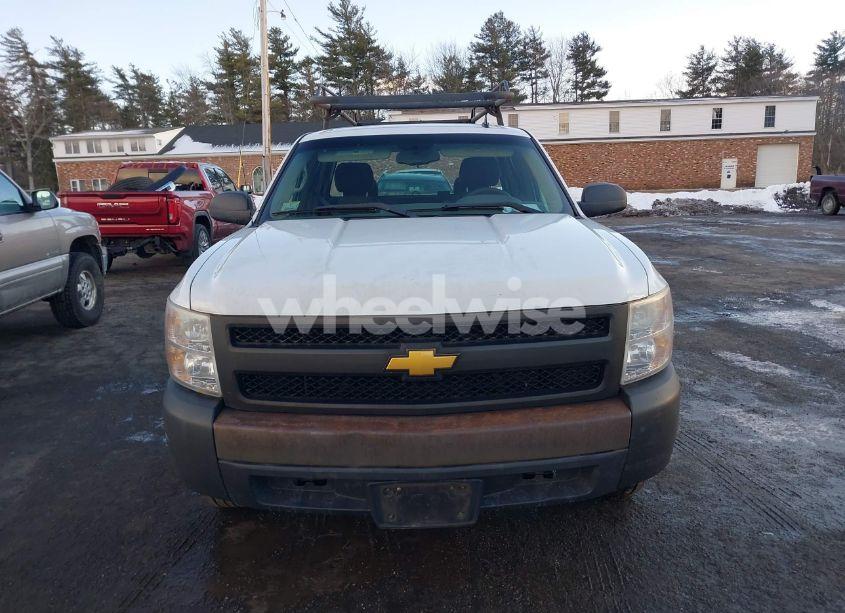 Photo 12 of 2008 Chevrolet Silverado 1500 WORK TRUCK (VIN 1GCEC19J88E150189)