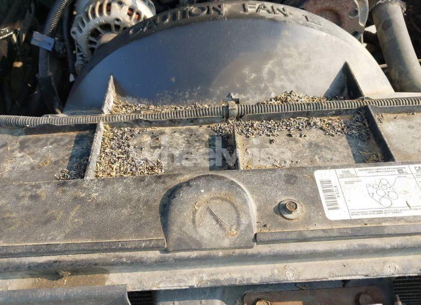 Photo 12 of 1996 Chevrolet Gmt-400 C1500 (VIN 1GCEC19M1TE140168)