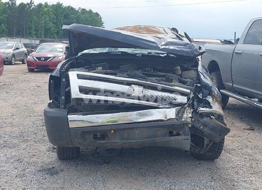 Photo 6 of 2008 Chevrolet Silverado 1500 WORK TRUCK (VIN 1GCEC19X18Z125924)
