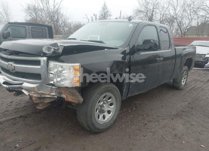 Photo 2 of 2009 Chevrolet Silverado 1500 WORK TRUCK (VIN 1GCEC19X39Z138059)