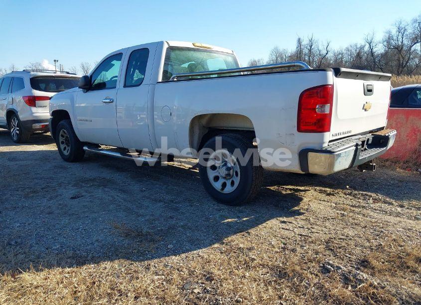 Photo 3 of 2007 Chevrolet Silverado 1500 WORK TRUCK (VIN 1GCEC19X47Z650894)