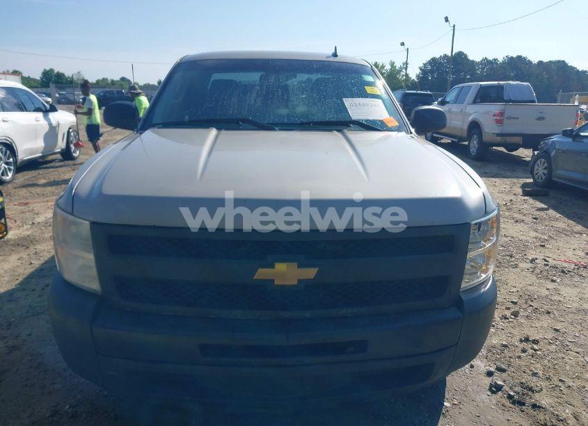 Photo 12 of 2009 Chevrolet Silverado 1500 WORK TRUCK (VIN 1GCEC19X69Z199390)