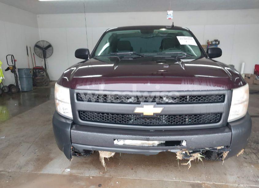 Photo 13 of 2009 Chevrolet Silverado 1500 WORK TRUCK (VIN 1GCEC19X79Z127159)
