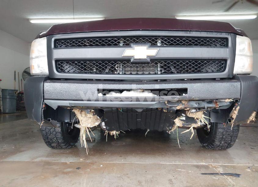 Photo 6 of 2009 Chevrolet Silverado 1500 WORK TRUCK (VIN 1GCEC19X79Z127159)