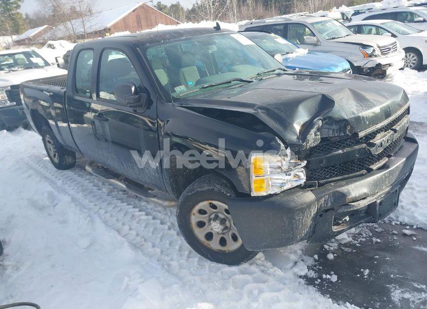 2008 Chevrolet Silverado 1500 WORK TRUCK (VIN 1GCEC19X88Z326767) main photo
