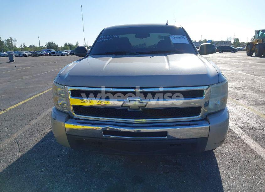 Photo 13 of 2009 Chevrolet Silverado 1500 WORK TRUCK (VIN 1GCEC19X89Z168495)