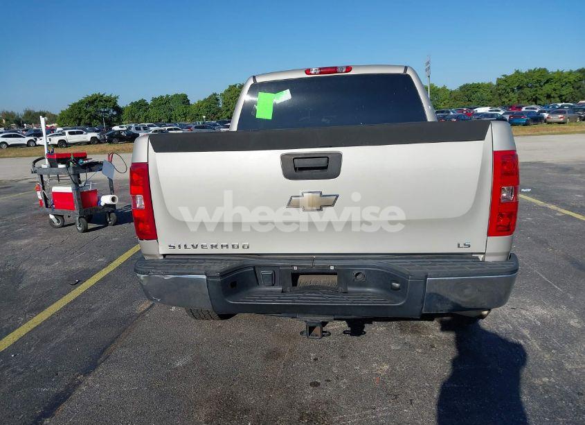 Photo 17 of 2009 Chevrolet Silverado 1500 WORK TRUCK (VIN 1GCEC19X89Z168495)