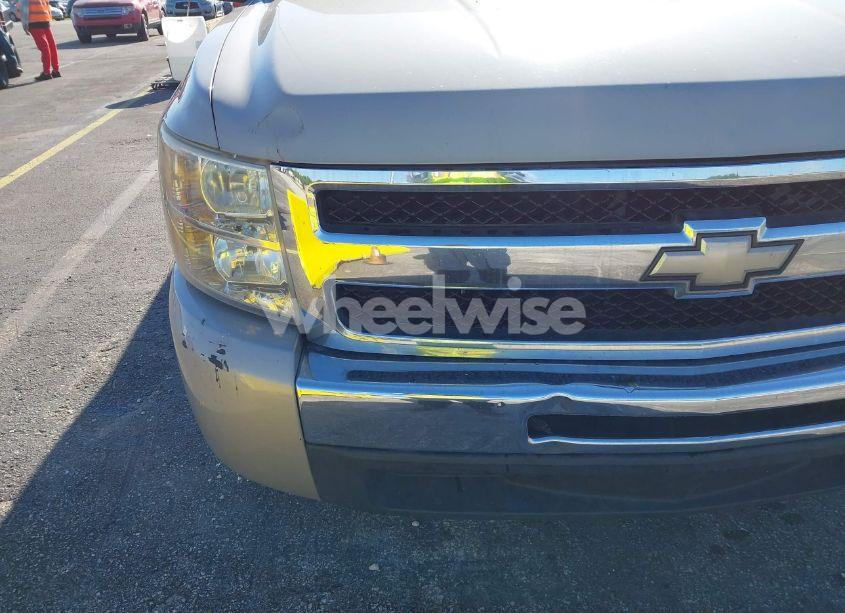 Photo 20 of 2009 Chevrolet Silverado 1500 WORK TRUCK (VIN 1GCEC19X89Z168495)