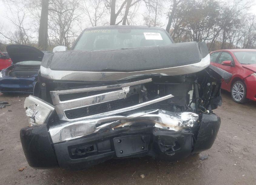 Photo 12 of 2009 Chevrolet Silverado 1500 WORK TRUCK (VIN 1GCEK14039Z175688)