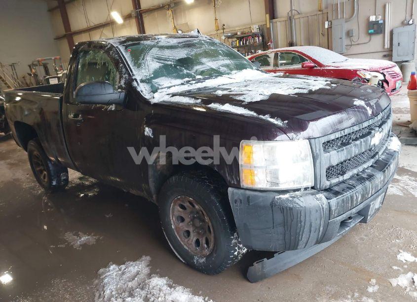 2008 Chevrolet Silverado 1500 WORK TRUCK (VIN 1GCEK14C08Z135724) main photo