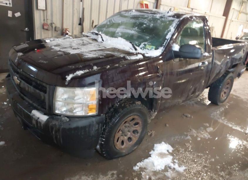 Photo 2 of 2008 Chevrolet Silverado 1500 WORK TRUCK (VIN 1GCEK14C08Z135724)