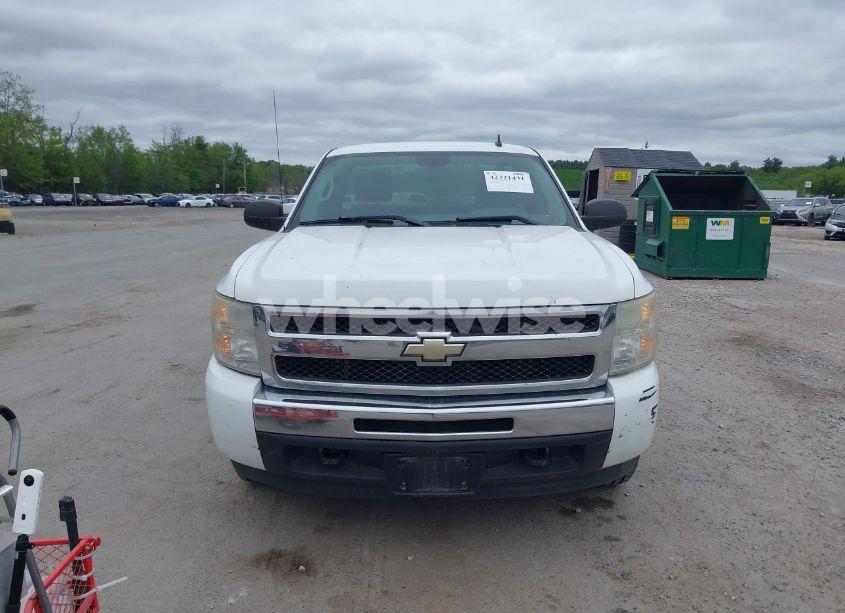 Photo 11 of 2009 Chevrolet Silverado 1500 WORK TRUCK (VIN 1GCEK14C09Z204932)