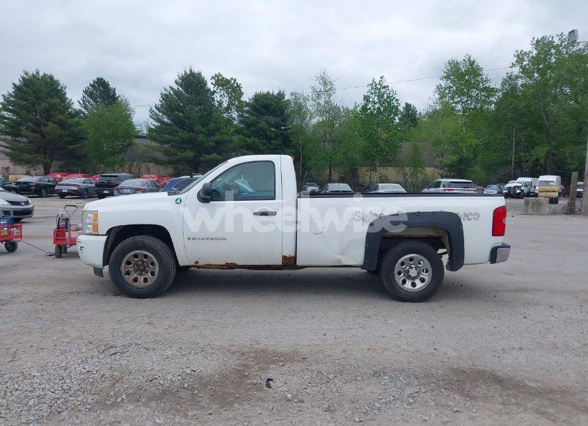 Photo 13 of 2009 Chevrolet Silverado 1500 WORK TRUCK (VIN 1GCEK14C09Z204932)