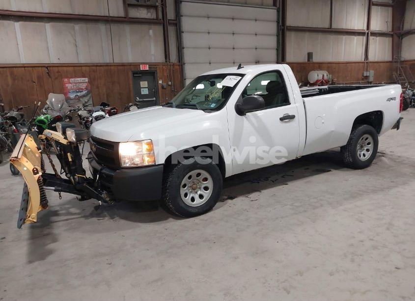 Photo 2 of 2008 Chevrolet Silverado 1500 WORK TRUCK (VIN 1GCEK14C38Z242301)