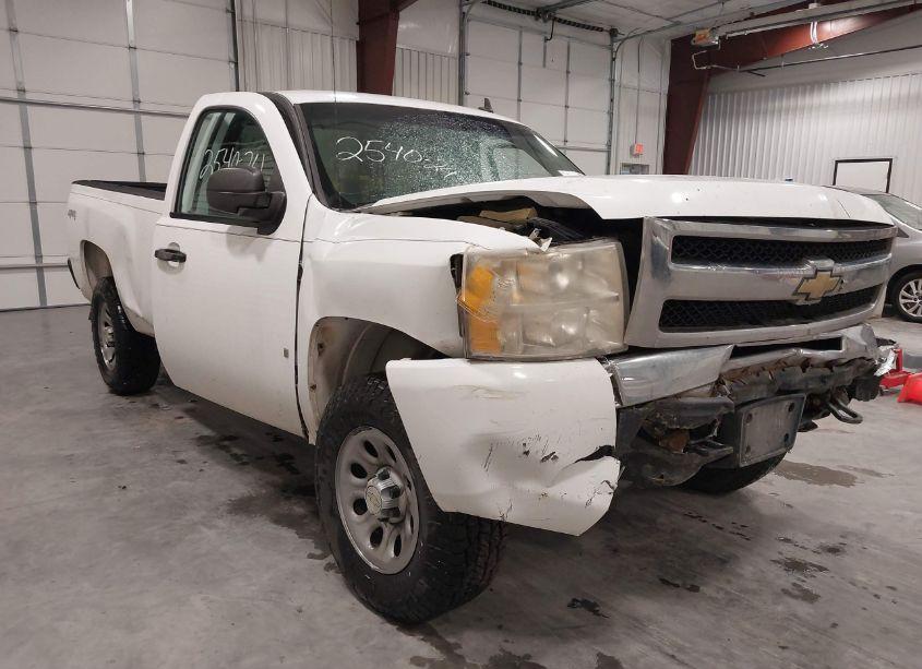 2009 Chevrolet Silverado 1500 WORK TRUCK (VIN 1GCEK14C59Z194169) main photo