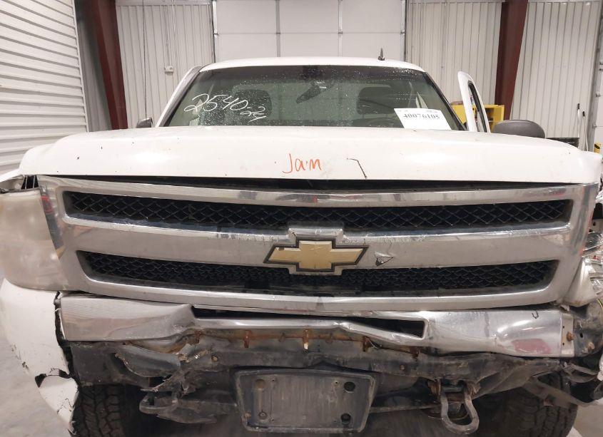 Photo 10 of 2009 Chevrolet Silverado 1500 WORK TRUCK (VIN 1GCEK14C59Z194169)