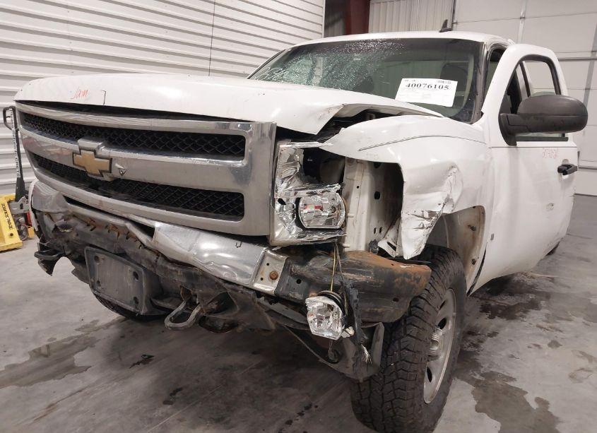 Photo 6 of 2009 Chevrolet Silverado 1500 WORK TRUCK (VIN 1GCEK14C59Z194169)