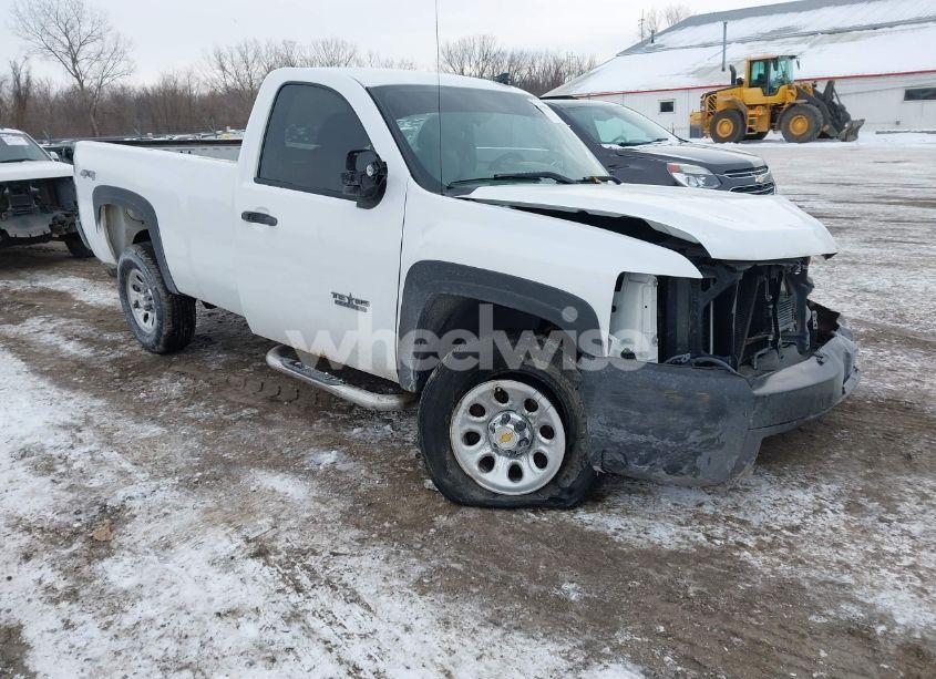 2008 Chevrolet Silverado 1500 WORK TRUCK (VIN 1GCEK14C78Z187125) main photo