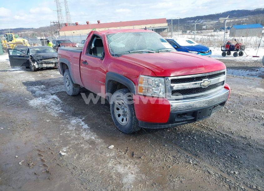 2007 Chevrolet Silverado 1500 WORK TRUCK (VIN 1GCEK14C97Z644919) main photo