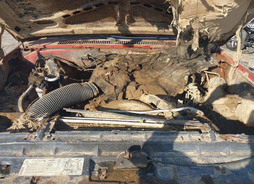 Photo 10 of 1984 Chevrolet K10 (VIN 1GCEK14H8EF367464)