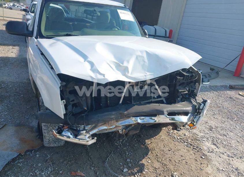 Photo 6 of 2004 Chevrolet Silverado 1500 LS (VIN 1GCEK14T94Z295501)