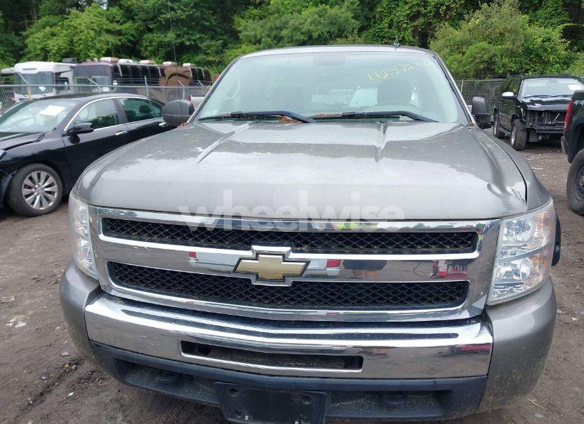 Photo 13 of 2009 Chevrolet Silverado 1500 WORK TRUCK (VIN 1GCEK14X09Z237044)