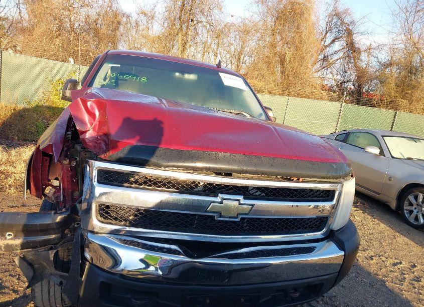 Photo 12 of 2009 Chevrolet Silverado 1500 WORK TRUCK (VIN 1GCEK14X39Z234607)