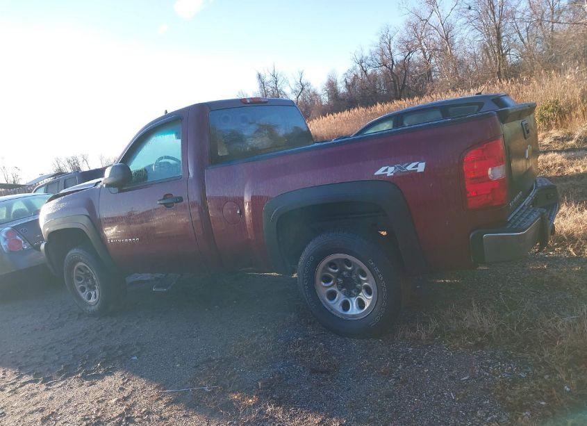 Photo 14 of 2009 Chevrolet Silverado 1500 WORK TRUCK (VIN 1GCEK14X39Z234607)