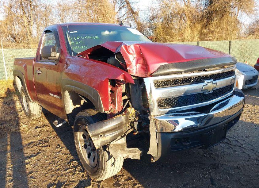 Photo 6 of 2009 Chevrolet Silverado 1500 WORK TRUCK (VIN 1GCEK14X39Z234607)