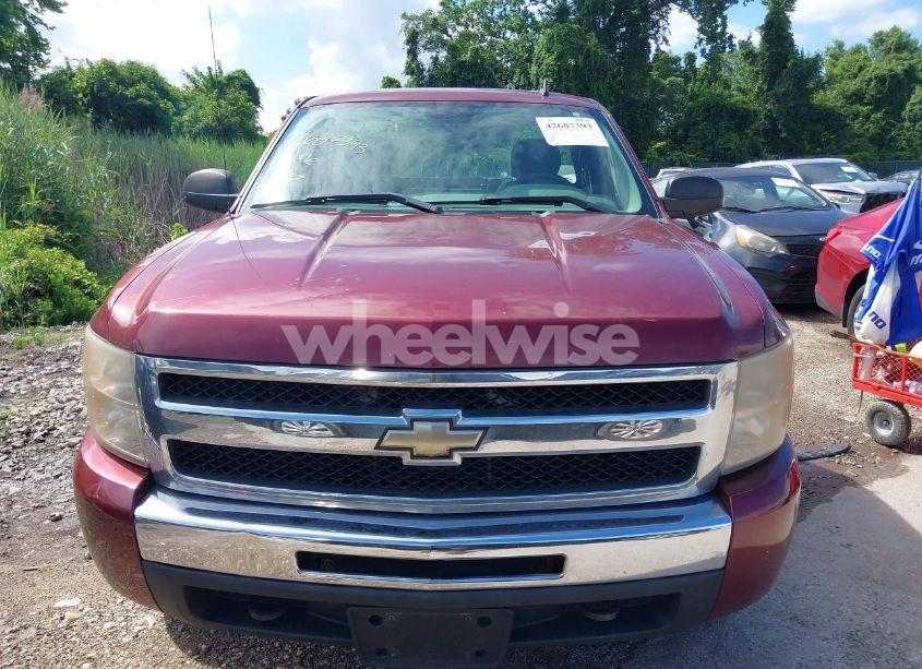 Photo 12 of 2009 Chevrolet Silverado 1500 WORK TRUCK (VIN 1GCEK14X59Z114291)