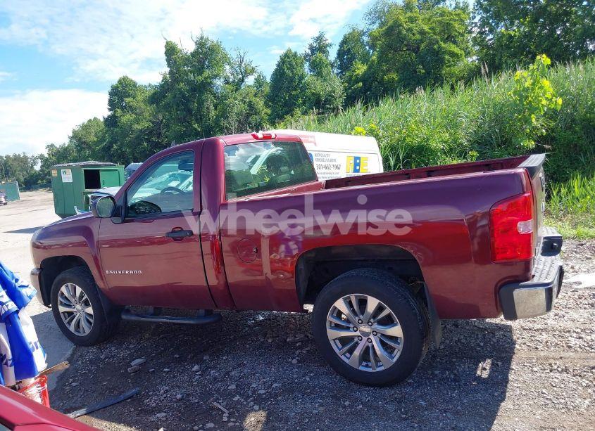 Photo 14 of 2009 Chevrolet Silverado 1500 WORK TRUCK (VIN 1GCEK14X59Z114291)