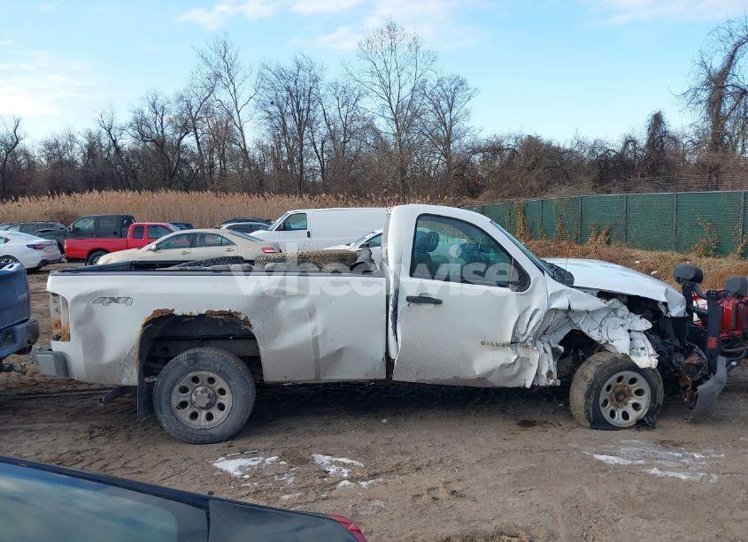 Photo 13 of 2009 Chevrolet Silverado 1500 WORK TRUCK (VIN 1GCEK14X89Z103124)
