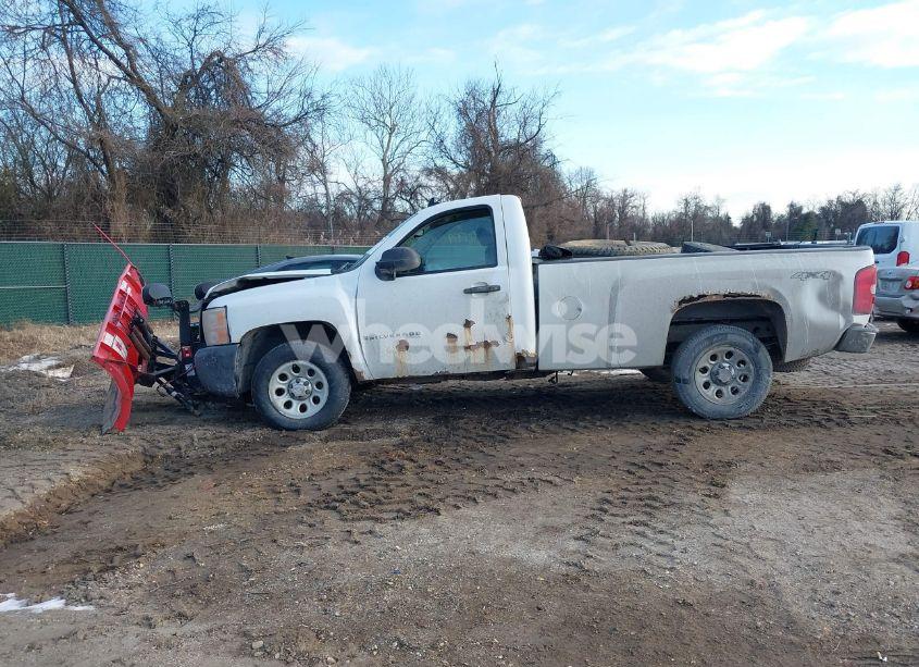 Photo 14 of 2009 Chevrolet Silverado 1500 WORK TRUCK (VIN 1GCEK14X89Z103124)