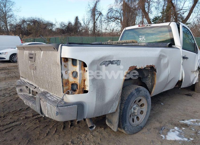 Photo 18 of 2009 Chevrolet Silverado 1500 WORK TRUCK (VIN 1GCEK14X89Z103124)
