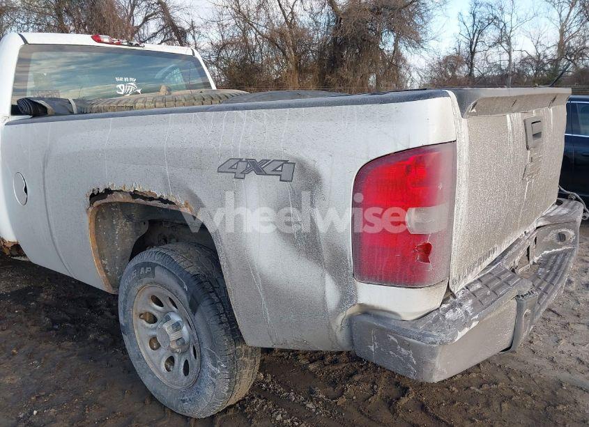 Photo 19 of 2009 Chevrolet Silverado 1500 WORK TRUCK (VIN 1GCEK14X89Z103124)