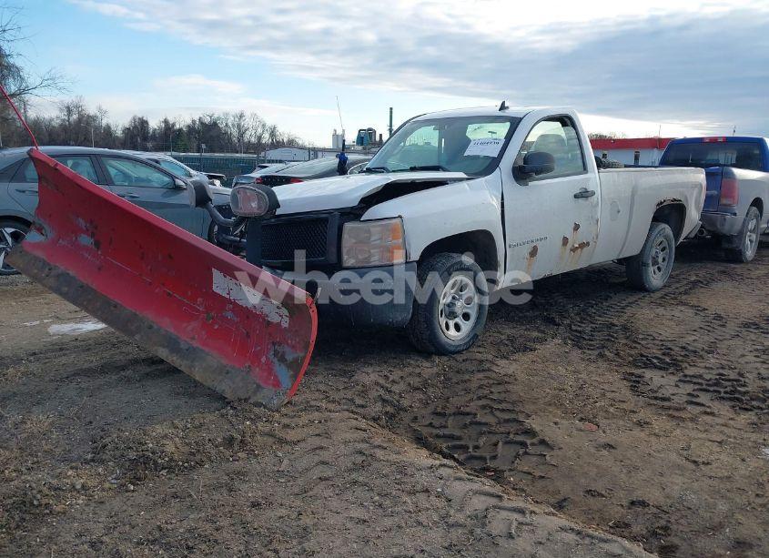 Photo 2 of 2009 Chevrolet Silverado 1500 WORK TRUCK (VIN 1GCEK14X89Z103124)