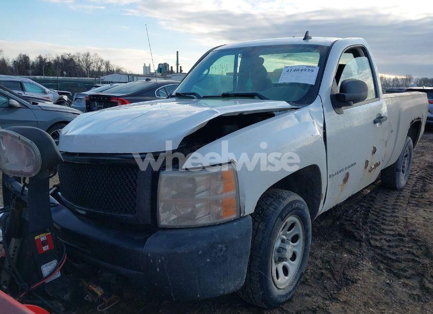 Photo 21 of 2009 Chevrolet Silverado 1500 WORK TRUCK (VIN 1GCEK14X89Z103124)