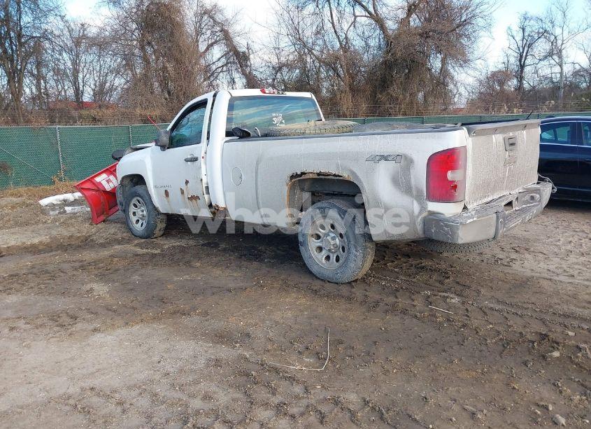 Photo 3 of 2009 Chevrolet Silverado 1500 WORK TRUCK (VIN 1GCEK14X89Z103124)