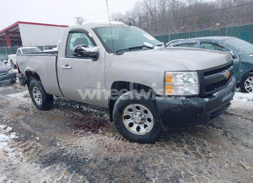 2009 Chevrolet Silverado 1500 WORK TRUCK (VIN 1GCEK14XX9Z233681) main photo