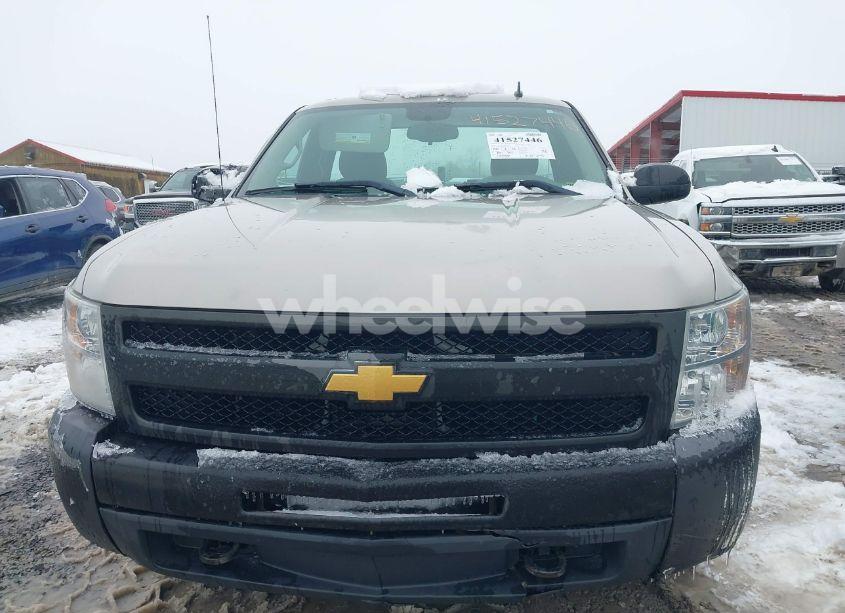 Photo 13 of 2009 Chevrolet Silverado 1500 WORK TRUCK (VIN 1GCEK14XX9Z233681)